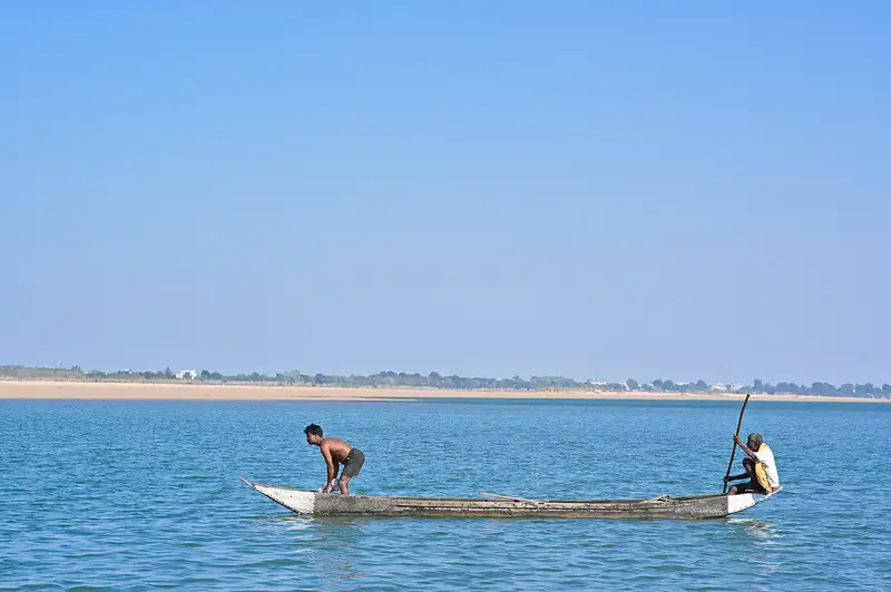 What Is Fisheries Science? A Guide to Courses and Careers in India’s Blue Economy